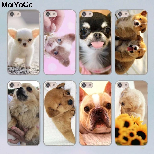 MaiYaCa Love Chihuahua dog Для iPhone 4S SE 5C 5S 5 6 6S 7 8 Plus X XR XS MAX чехлы для телефонов прозрачные