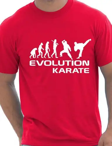 Забавная Мужская футболка evolation Of Karate подарок на день рождения большой размер и