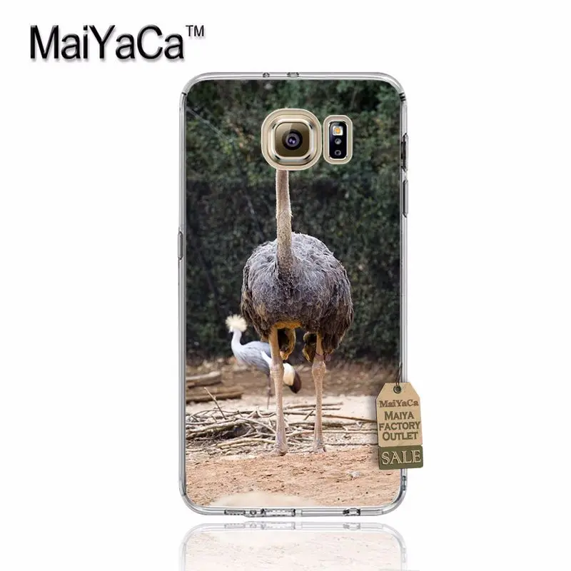 MaiYaCa Страусиная Птица Животные на продажу! Роскошный классный чехол для телефона