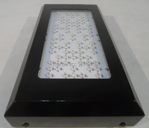Новый 240 Вт Маяк Гидро Блэкстар светодиодный свет цветения 3 LED's dropshipping - купить