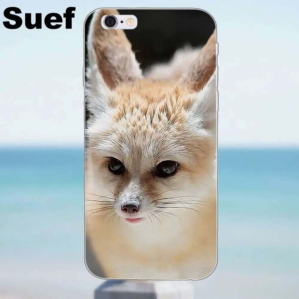 Suef Fennec Fox Мягкий ТПУ чехол для iPhone 4 4S 5 5S 5C SE 6 6S 7 8 Plus X Galaxy J1 J3 J5 J7 A3 A5 2016 2017|case for iphone|case