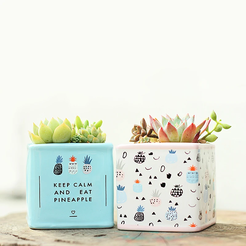 Набор из 2 керамических цветочных горшков с ручной росписью горшок для