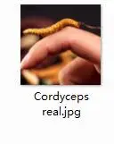 1pcs 1 gram Cordycep Ngryise 1 шт. около 1 г Кордицепс real - Цвет: 1pcs 1 gram Cordycep