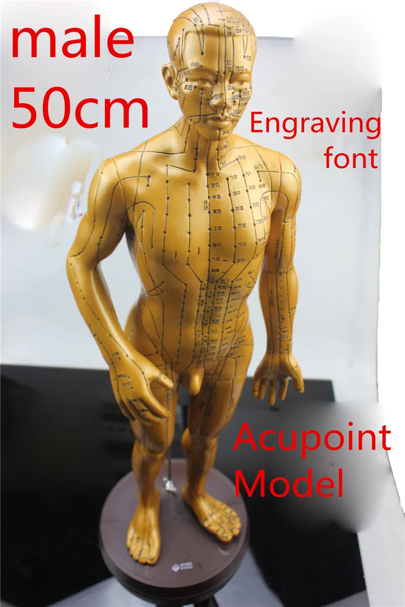 medical HD clear male Electroplate Pure copper human body meridian acupuncture points hard model Engraving font acupoints statue