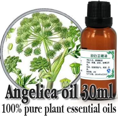 100% чистые растительный травяной масло для лекарств Angelica dahurica улучшение масла