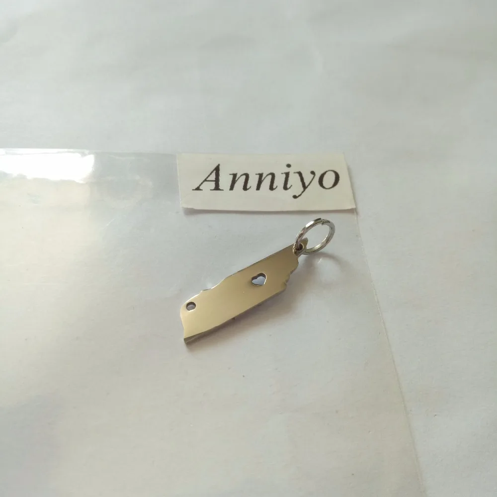 Anniyo Tenness в карта ожерелья из Соединенных Штатов Карты Нержавеющая сталь кулон