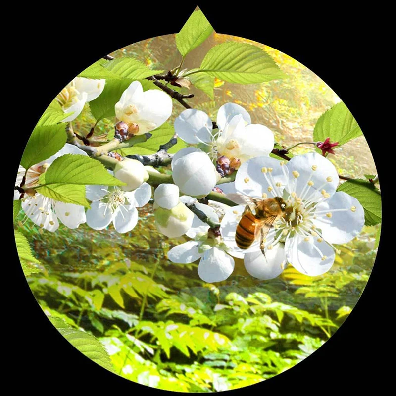 Фотобумага 3D под заказ настенная бумага с рисунком леса солнечного света