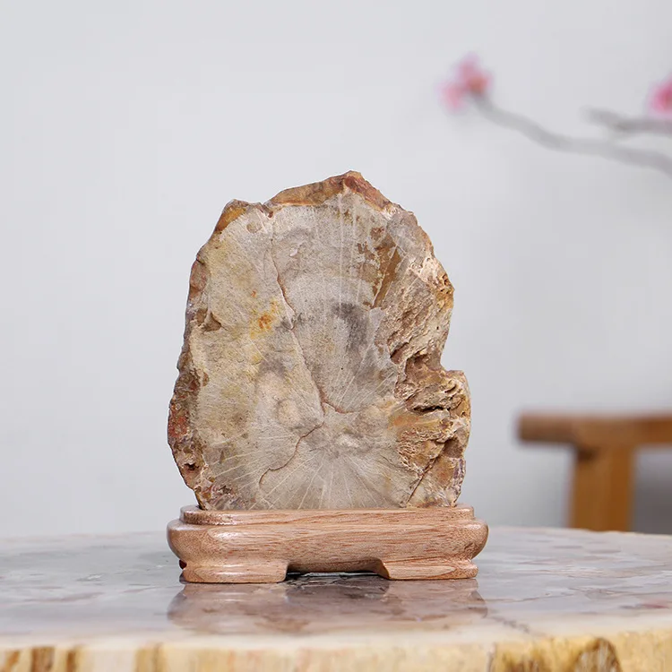 Натуральное дерево fossil Jesus портретное украшение креативное домашнее мягкое для