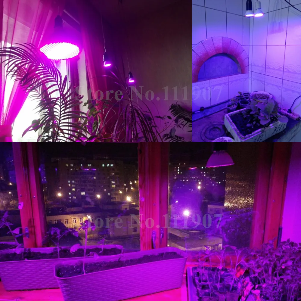 26 Вт 260smd 50 Вт 500smd E27 светодиодный Grow светильник в красном и синем цветах гидропоники крытого класса светодиодный завода светать светильник s светодиодный лампа светодиодный для роста растений