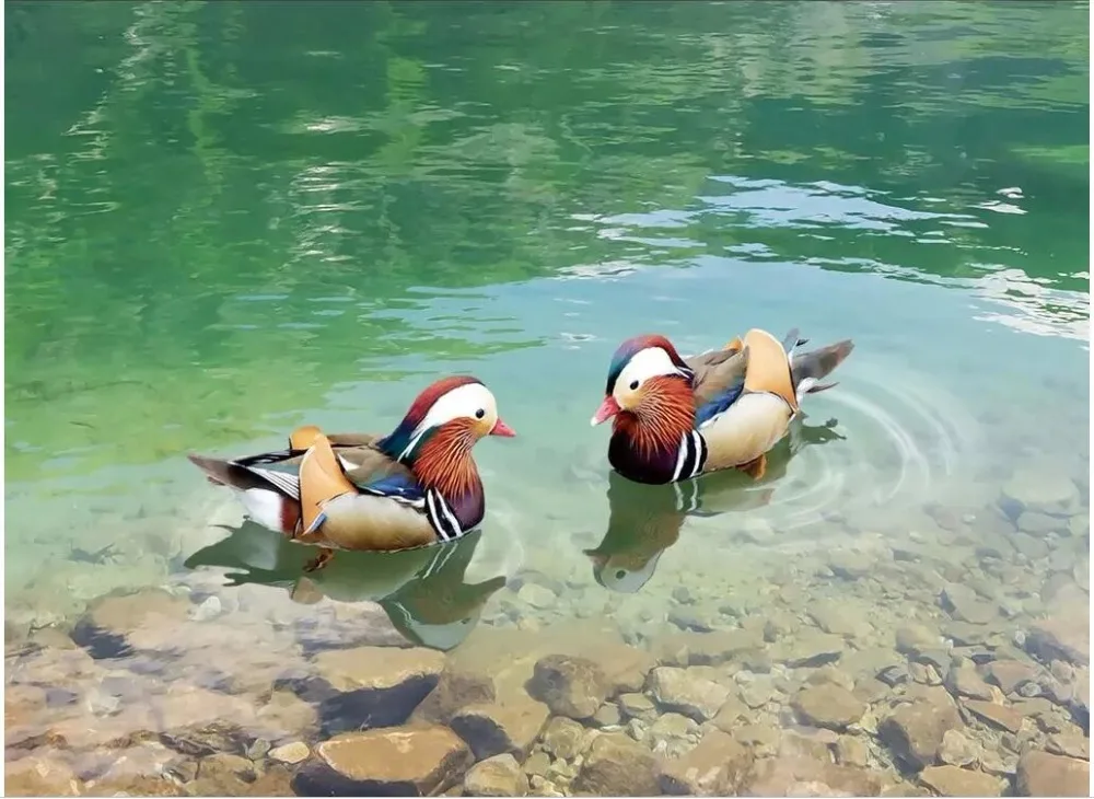 Настенные 3D обои на стену HD фотообои с изображением лесного водопада пейзажа