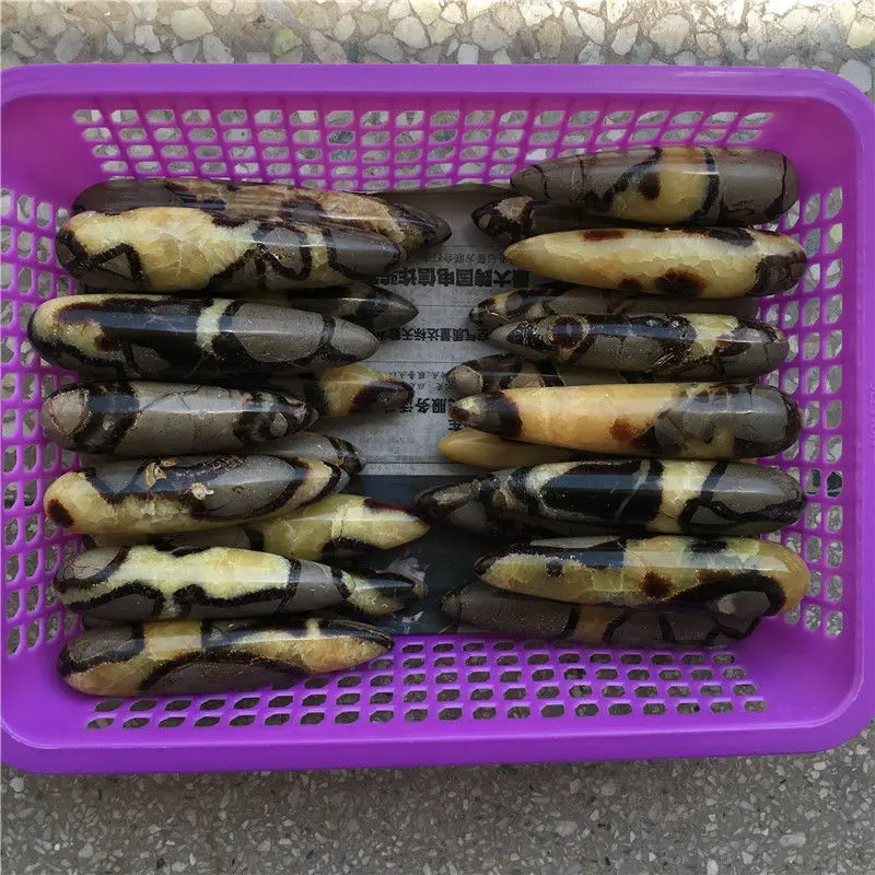 Оптовая цена! Фунтов натуральный полированный драконий септариевый лечебный