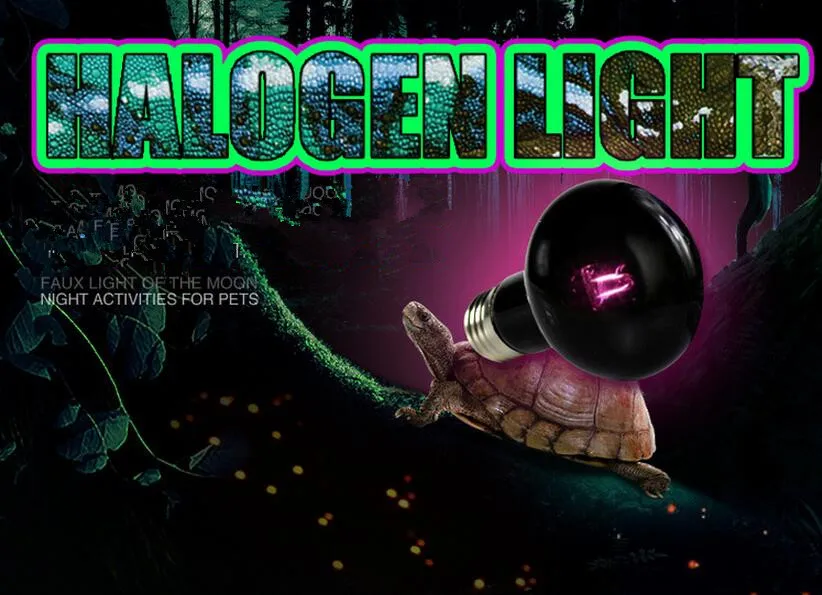 Нагревательные Лампы рептилия черепаха года лампа для обогрева ежа галогенная