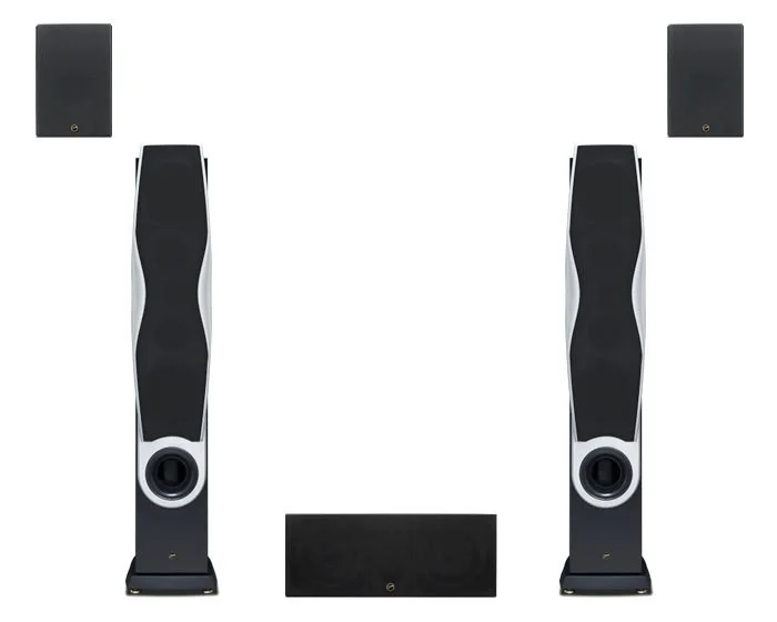 HIVI Лебеди Rm600 5 0 дома Театр основной Rm600a центр Rm600c объемный Rm600r Di/bi полюс