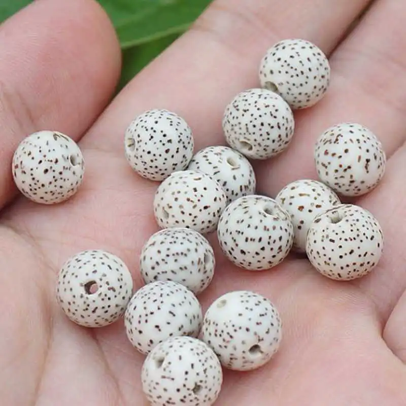 

TSB0537 Natural Original White Star Moon Lotus Bodhi Seeds Round 10 Beads 9-10mm