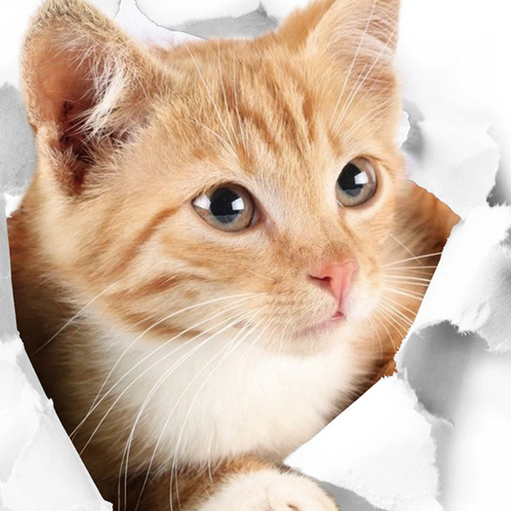 3d-наклейка на холодильник в виде милых котят | Дом и сад