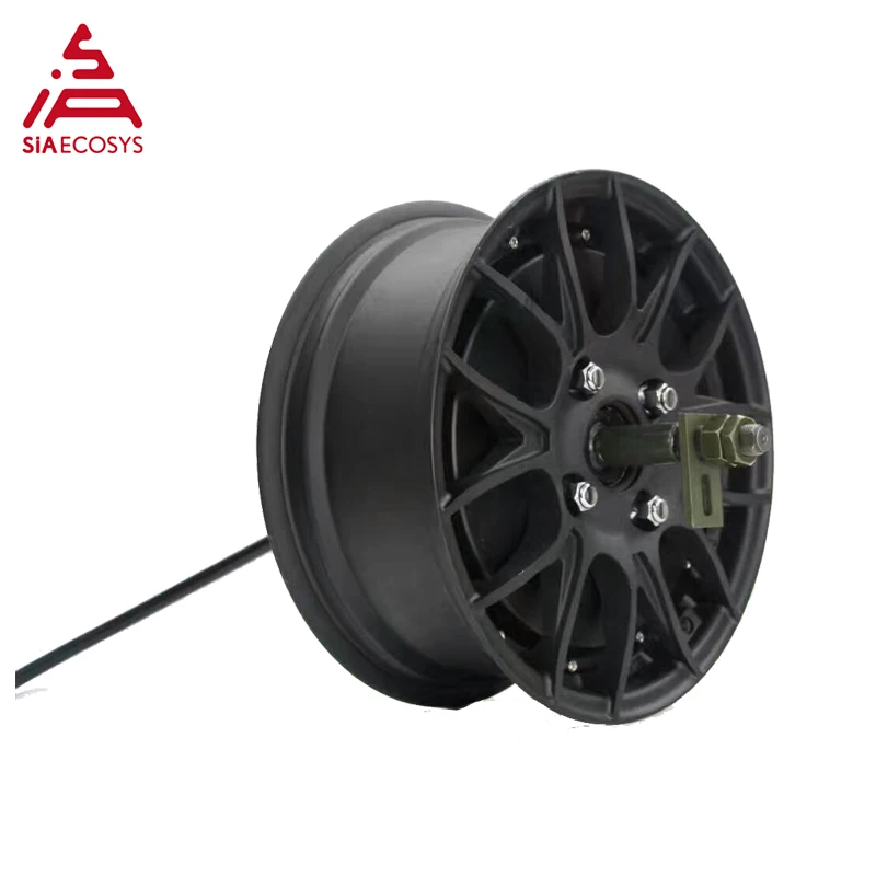 Съемный QS 3000 W 260 V4 измельчитель одиночного вала мотор для центрального движения для электрического автомобиля в-для центрального движения колеса по супер скидке