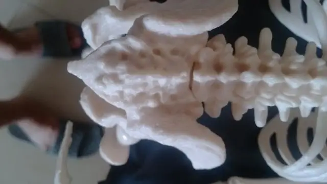 45 см модель человеческого скелета съемная анатомическая решение | Канцтовары для