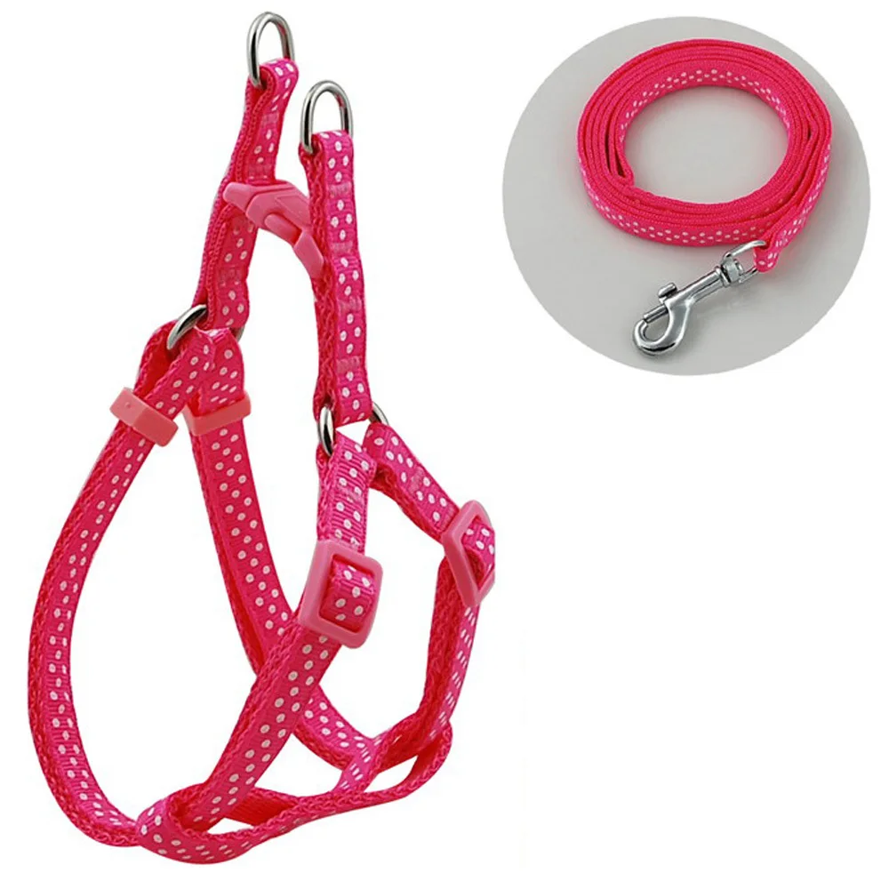 Поводок нейлоновый в горошек для прогулок ширина 1 0 см|pet harness|leash setwalking leash |