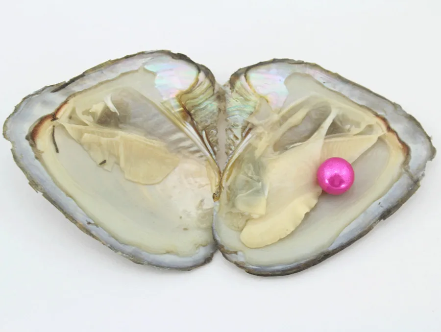 5 шт. жемчужины Эдисона для подарка|Бусины| |