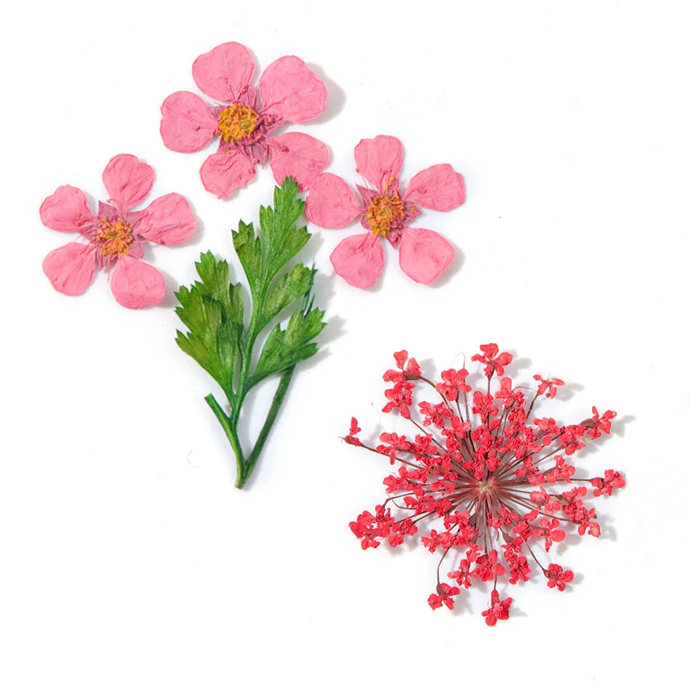 1 колесо Нейл арт Натуральные сушеные цветы набор лепестки кусочки Наклейка 3D