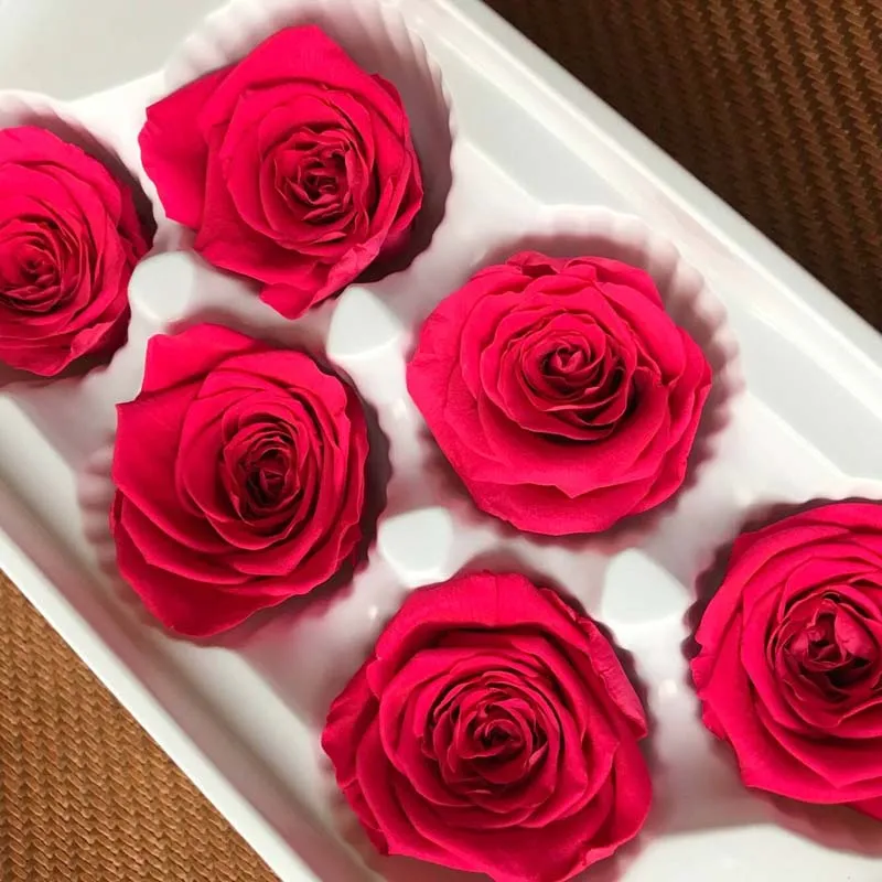 5 см природа свежий консервированный Роза голова в Fuschia Красавица и Чудовище
