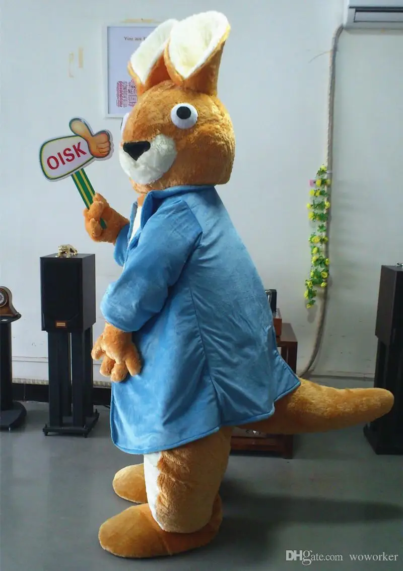 Ohlees реальные фотографии Питер костюмы талисмана кролика персонажа плюшевая