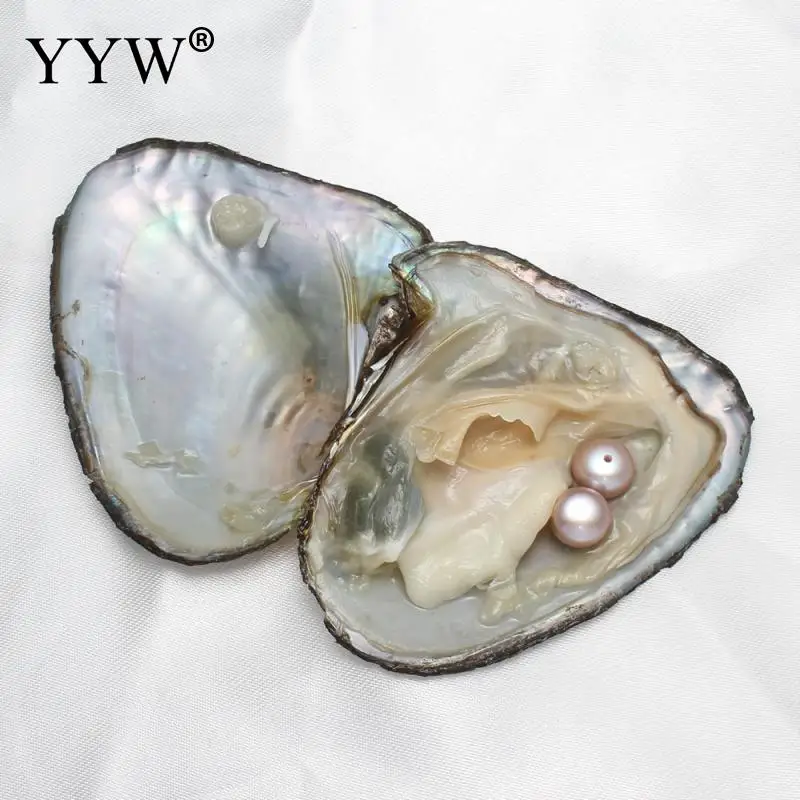 Фиолетовый Вакуумная упаковка пресноводных жемчужин Oyster Wish 8-9 мм жемчужин внутри оболочки для ювелирных изделий DIY серьги бусины и таинственный подарок - Цвет: Фиолетовый