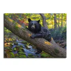 Полная круглая Алмазная вышивка крестиком черный медведь полная квадратная Алмазная картина лес река DIY 3D Бриллиантовая мозаичная фигурка животного