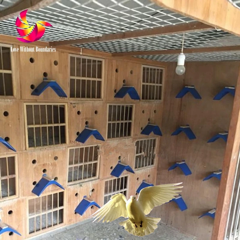 Подставка для голубей из натурального дерева, не скользящая подставка для птиц, голубей, домашних животных, аксессуары для гнезда, инструменты для альпинизма