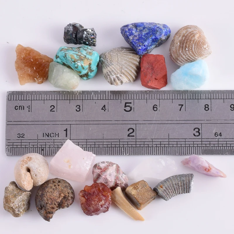 20 шт./Корд. Окаменевшая минерала образец обучающая школьная коллекция минералов