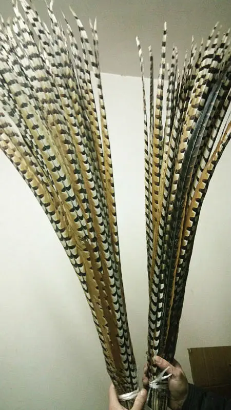 Оптовая продажа 20 шт. качественные натуральные перья из хвоста фазана 70 80см 28 32