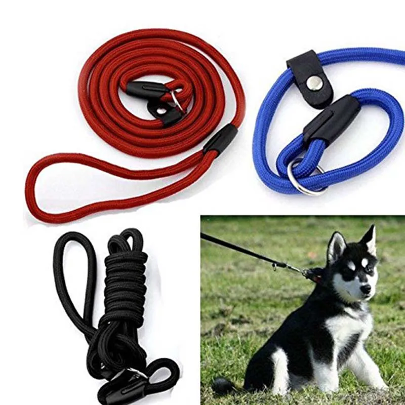 Нейлоновая веревка для собаки 0 8x120 см 1 0x120 см|dog whisperer|slip leaddog rope |