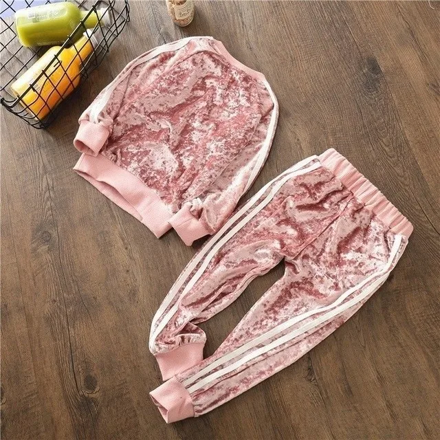 -D04-Pink- Детский костюм; коллекция года; детская одежда; Новая Теплая Одежда для маленьких девочек; свитер с рукавами; куртка+ брюки; комплект из 2 предметов; сезон осень-зима - Цвет: -D04-Pink-