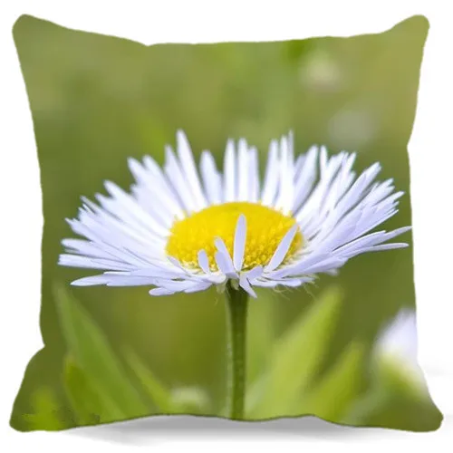 Божья коровка и Хризантема квадратные 16 18 19 дюймов оптом Классические хлопковые