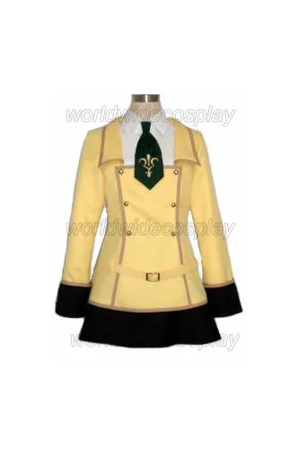 Школьная форма для косплея девочки Эшфорд Бесплатная доставка на Хэллоуин и