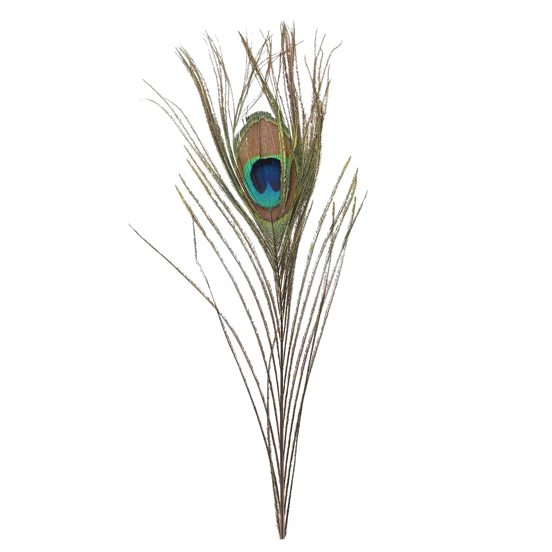 100 шт перьев павлина 10 &quot 12&quot|peacock feathers|feather feather100 feathers |