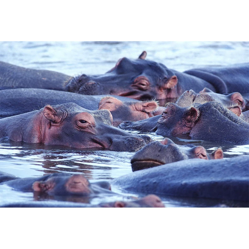 Алмазная живопись 5D &quotсделай сам&quot пейзаж водопад кристалл алмазная вышивка