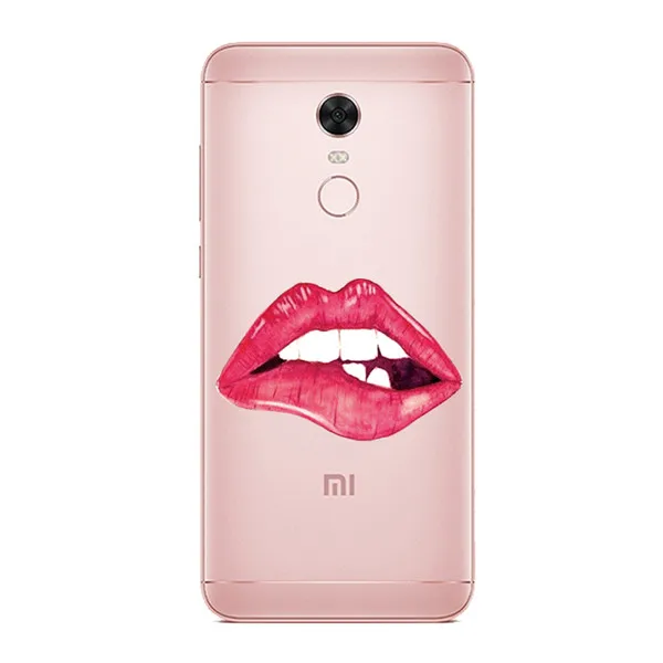 16 Силиконовый чехол для Xiaomi Redmi 5, чехол 5,7 'с принтом 5,99', чехол для Xiomi Redmi 5 plus, чехол для телефона Redmi5, чехол s - Цвет: 16