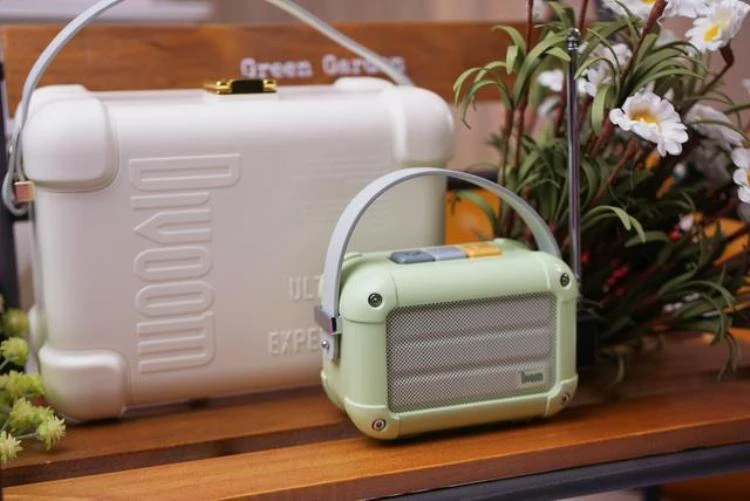 Отличный Divoom Macchiato Bluetooth беспроводной динамик маття зеленый металлический радио открытый портативный ручной музыкальный плеер сабвуфер