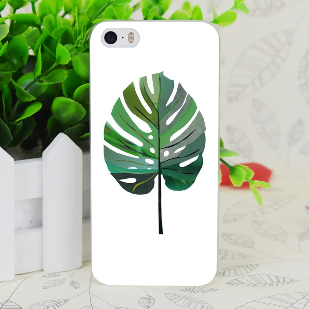 C0541 Monstera Transparent Hard Thin Case Skin Cover For Apple IPhone 4 4S 4G 5 5G 5S SE 5C 6 6S Plus |
