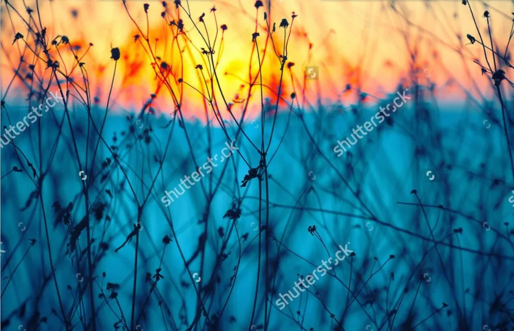 Пользовательские обои с природными пейзажами сушеный цветок фотообои для