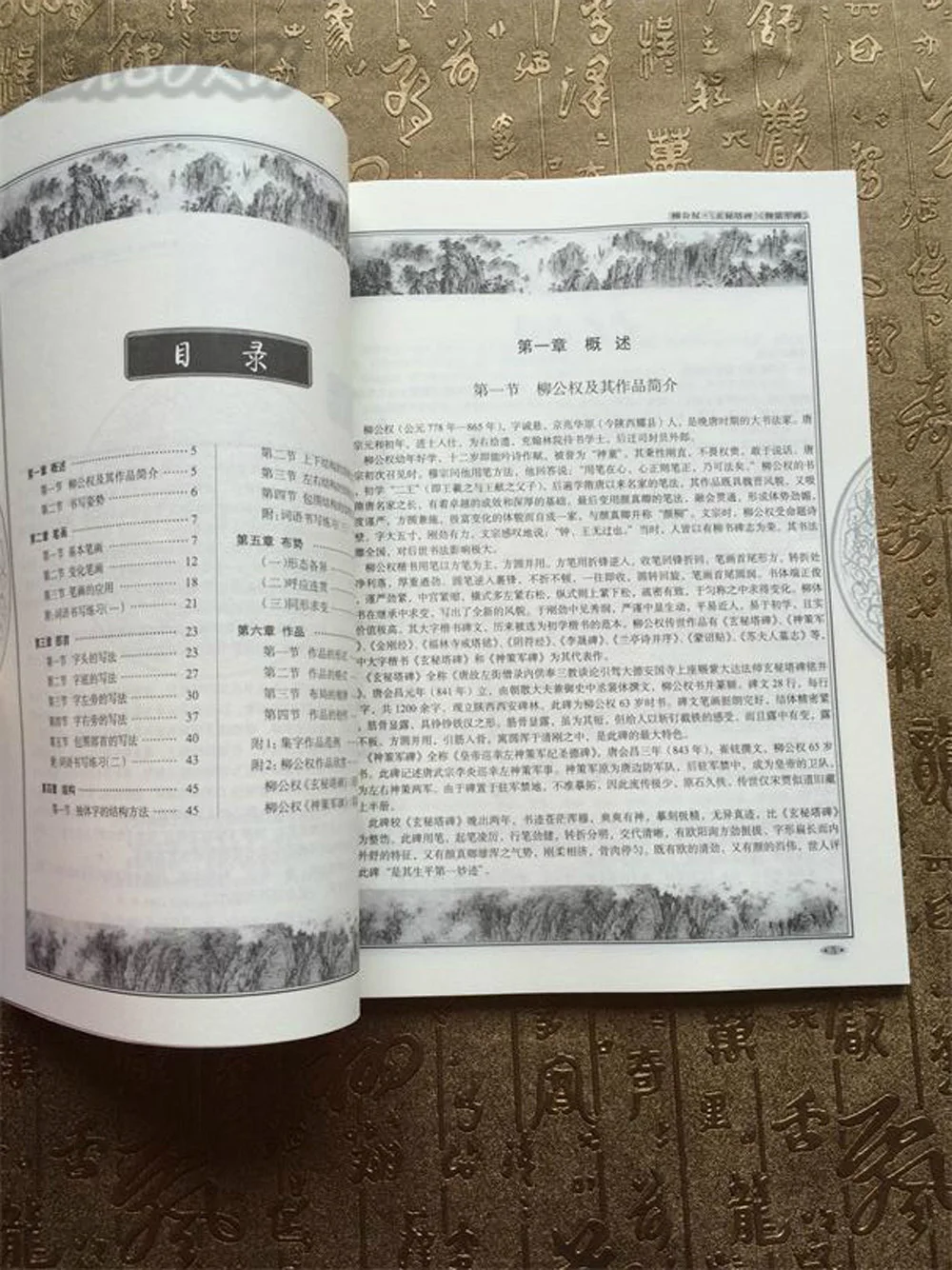 Классический книжка для курса Liu Gongquan Xuan Mi Ta art|chinese calligraphy book|calligraphy bookchinese |