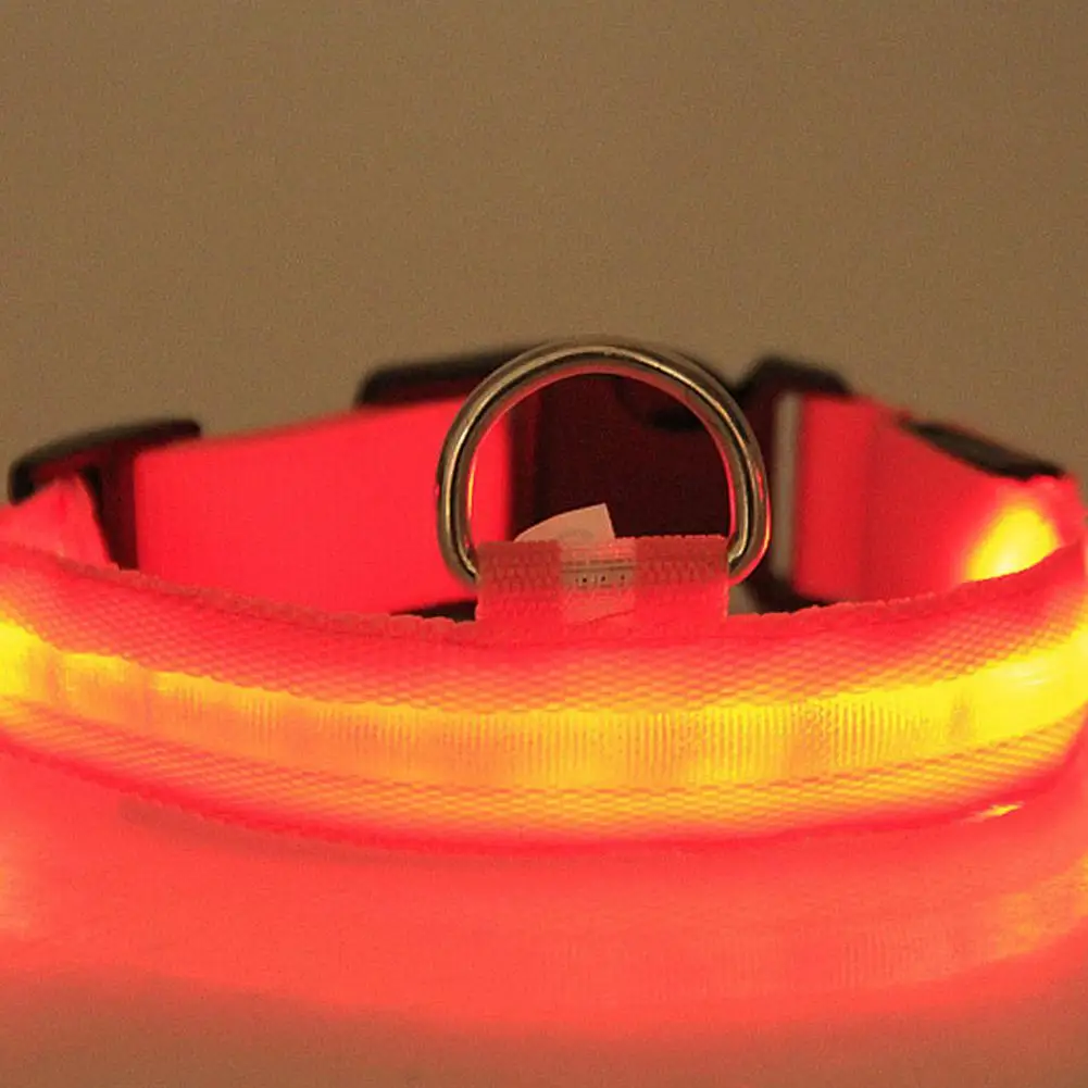 LED Pet Cat Dog Collar Night Safety Luminous Necklaces For Outdoor Walking