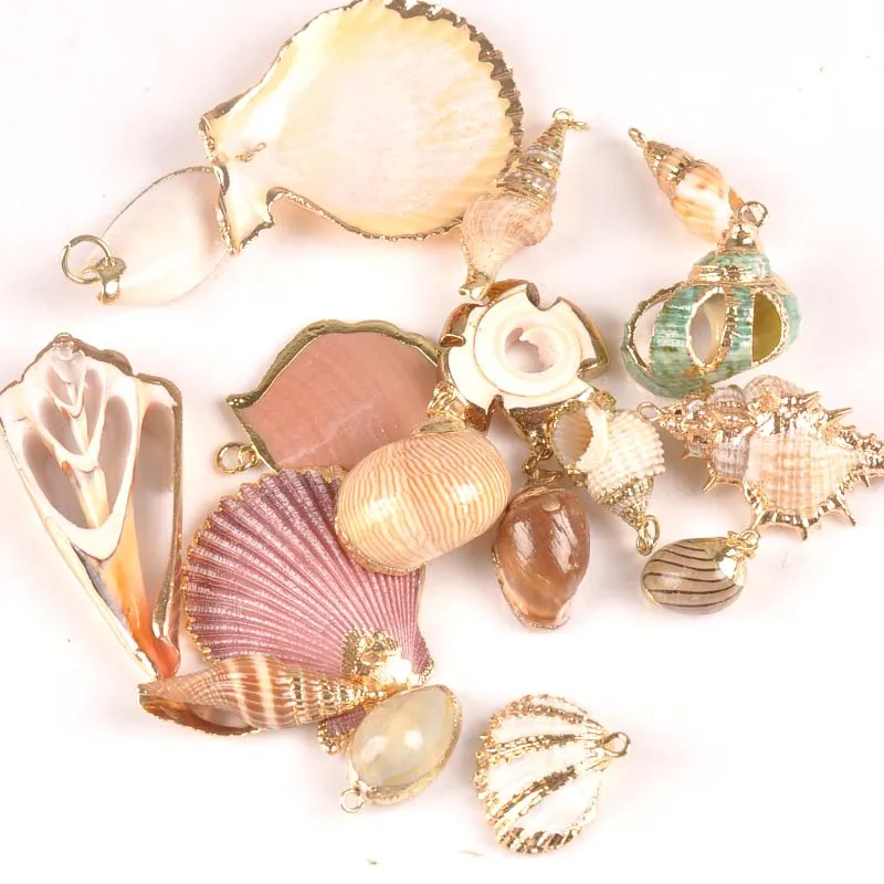 5 шт. разноцветные ракушки для украшения дома|Ракушки и морские звезды| |