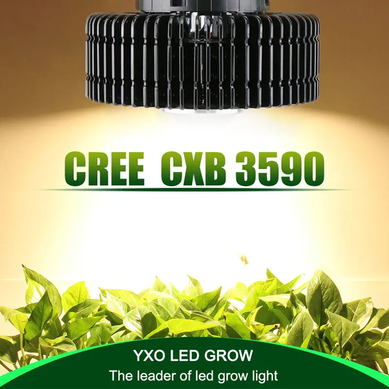 

CREE CXB3590 3500K 100W COB LED Grow Light Full Spectrum MeanWell Driver CREE LED Growing Lamp Indoor Plant Growth Panel Light