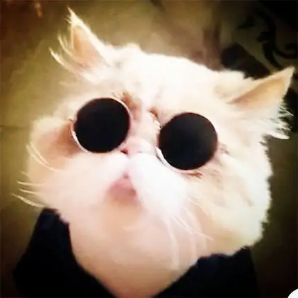 ReVarious кошка очки солнцезащитные для женщин в стиле ретро классный Кот смешной