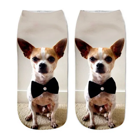 Новые Популярные носки с 3D принтом радужные милые животные Кот картонные