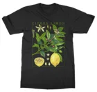 Sunfiz HJN футболка с коротким рукавом с изображением лимона ботанический сад РАСТЕНИЯ искусство цветение фруктов цветов Рыбалка футболки