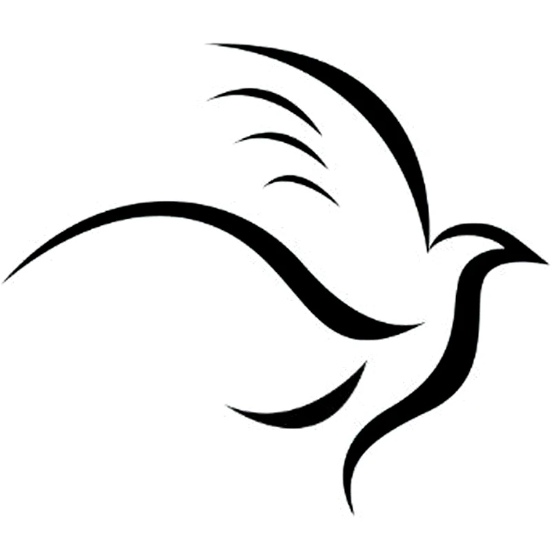 15X13CM летящей птицы красивый силуэт виниловые наклейки на автомобиль акрилатовые