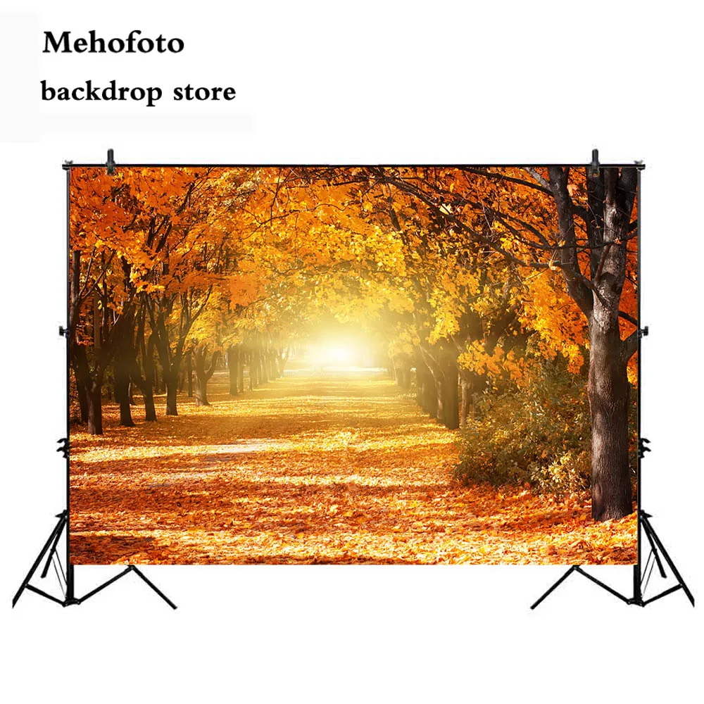 

Mehofoto Autumn Scenery Photography Backdrops S Maple Leaf Backdrop for Photo studio Road Forest Tree Vinyl Seamless 953
